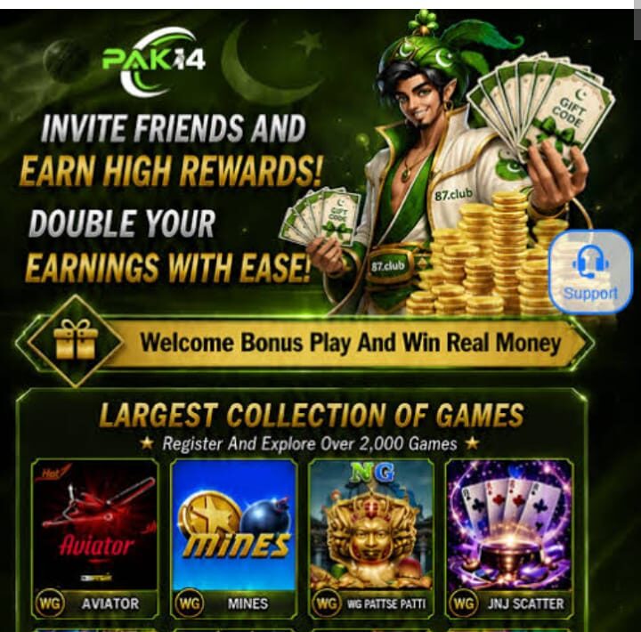 PAK14 Game interface screenshot image